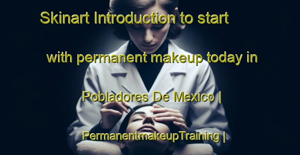 Skinart Introduction to start with permanent makeup today in Pobladores De Mexico | PermanentmakeupTraining | PermanentmakeupClasses | SkinartTraining-Mexico
